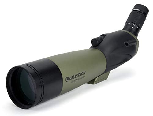 Celestron Celestron Ultima 20-60x80 Angled