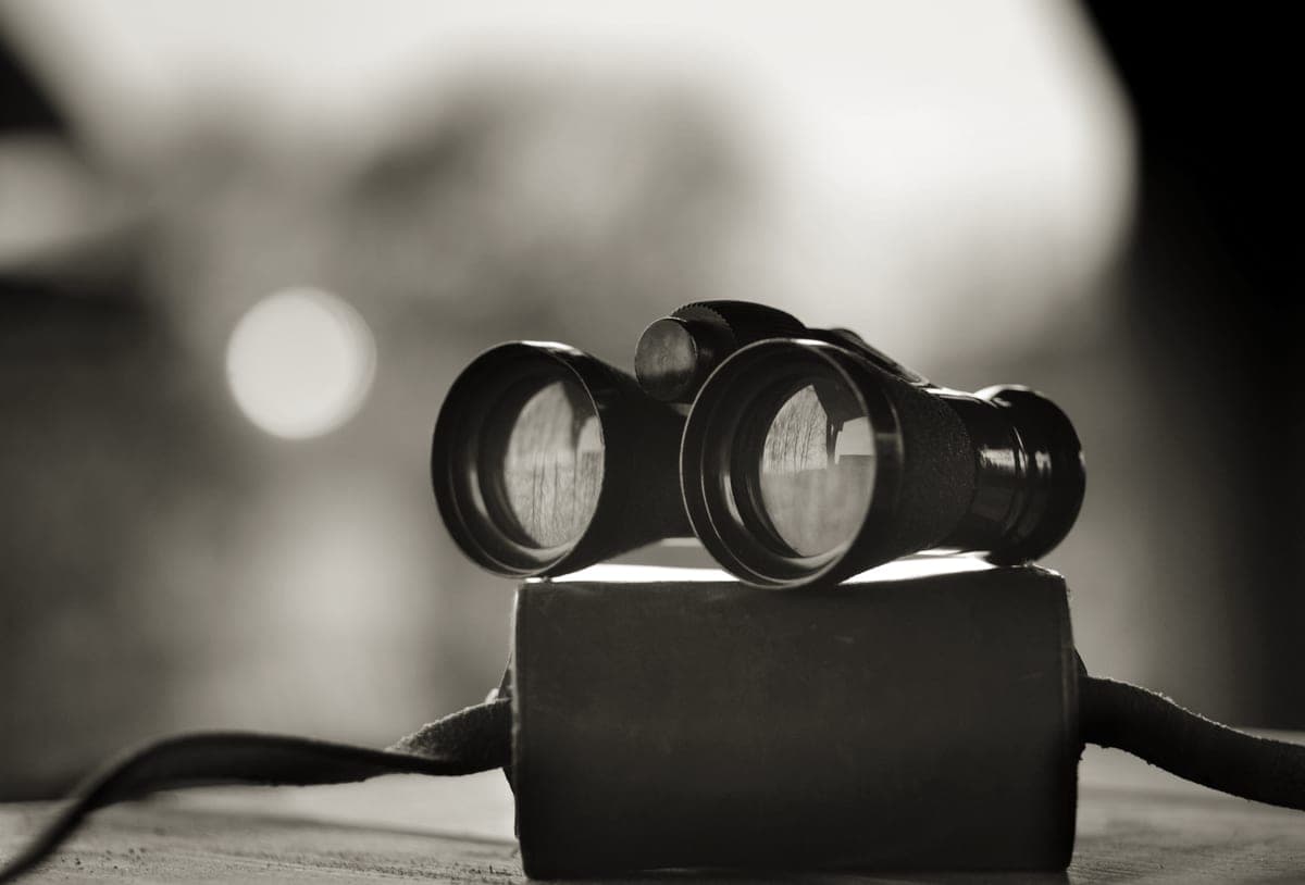 A pair of binoculars resting on a wooden surface outdoors
